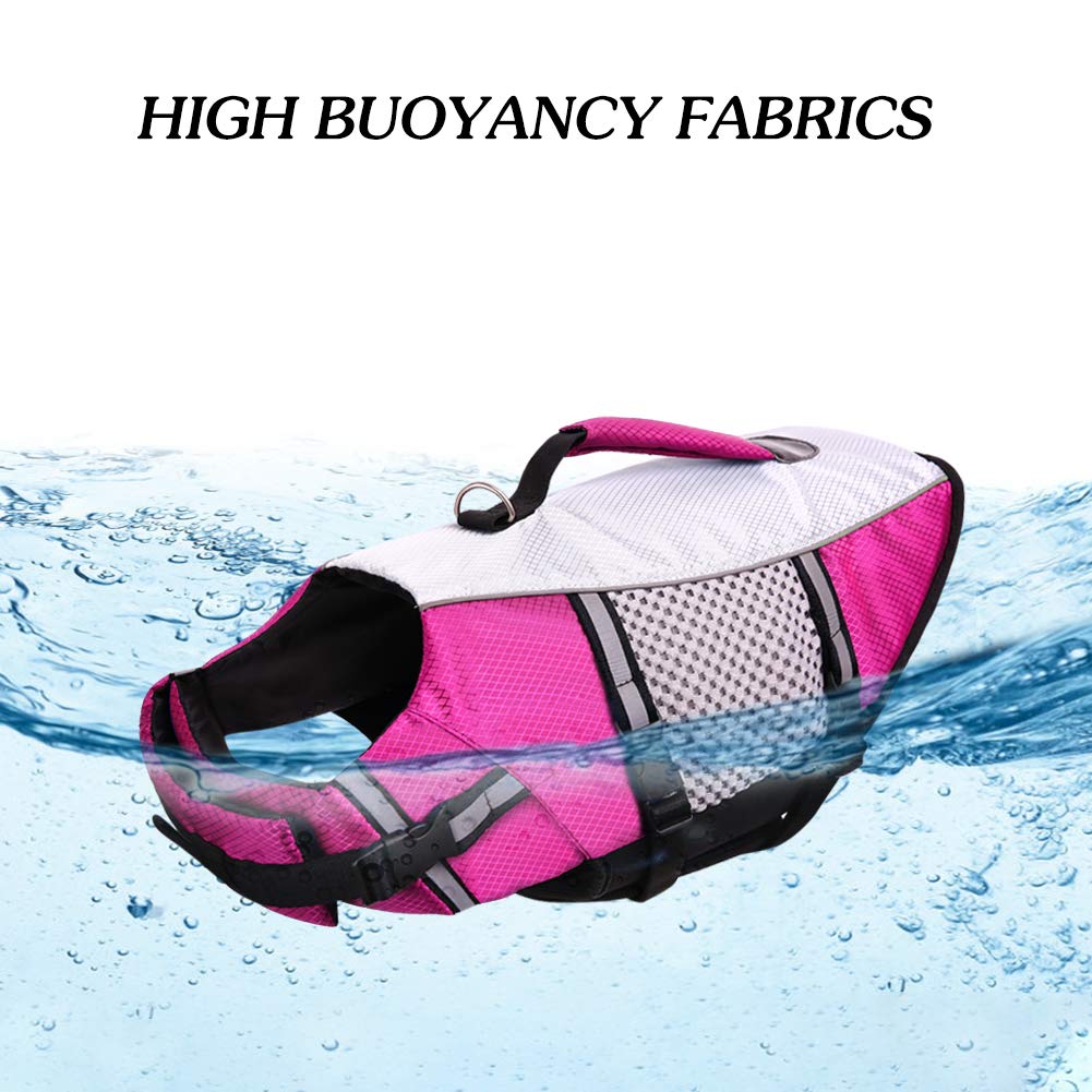 Queenmore dog life jacket shown being worn by a dog.