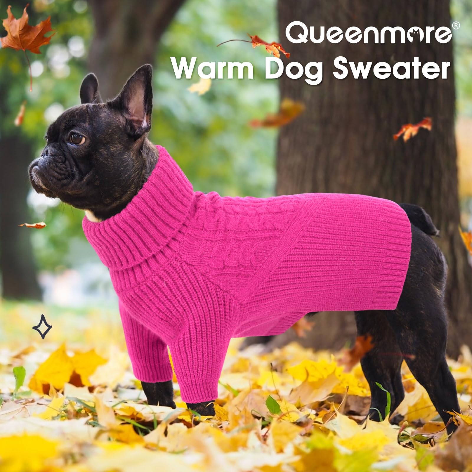 Queenmore dog sweater shown on a pet to highlight its moderate-length fit.