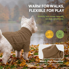 Queenmore dog sweater detail showing the ribbed cuff and hem finish.