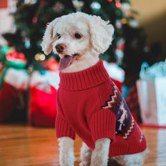 Queenmore dog sweater close-up showing the ribbed cuffs and hem.