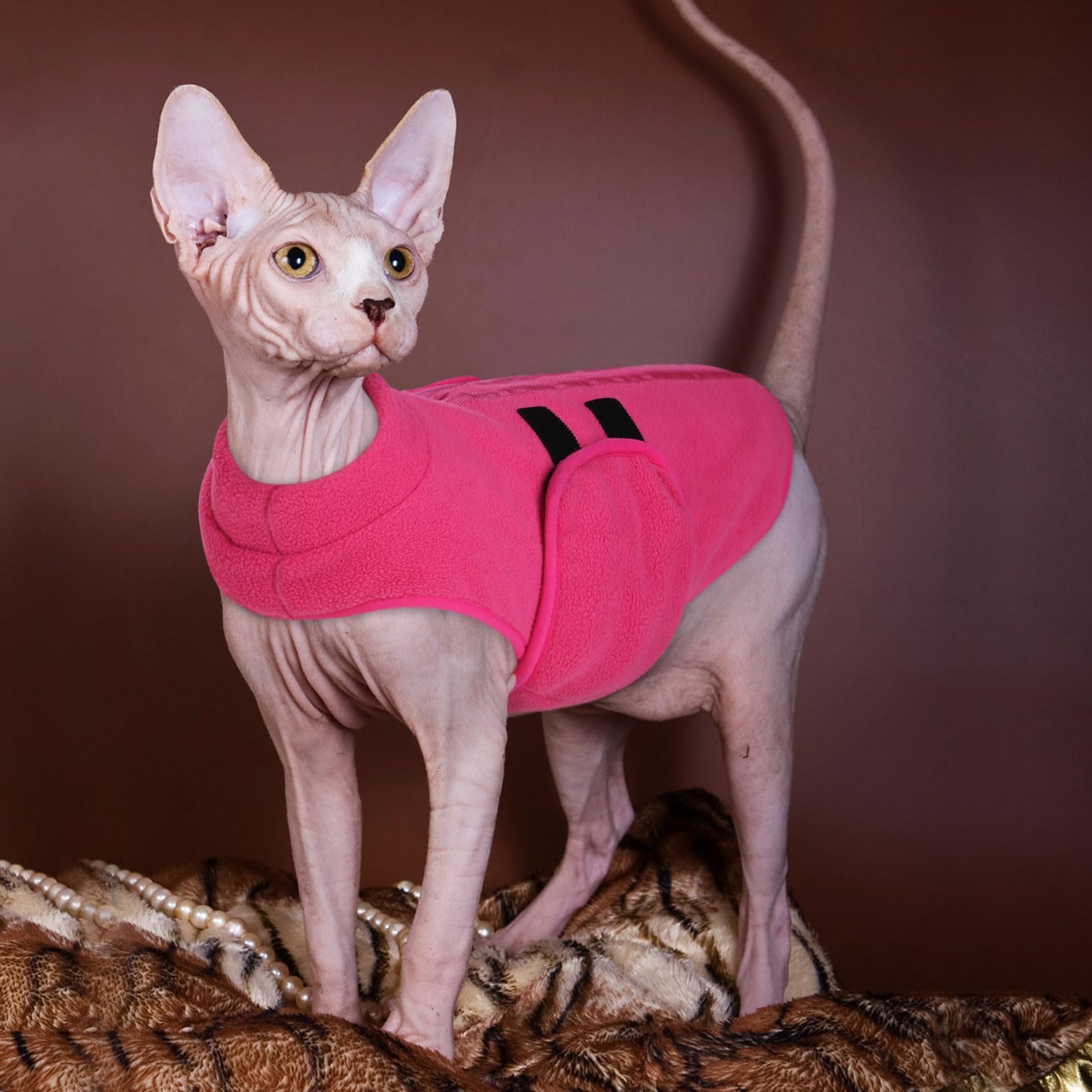 Queenmore dog sweater shown in its solid fleece design.