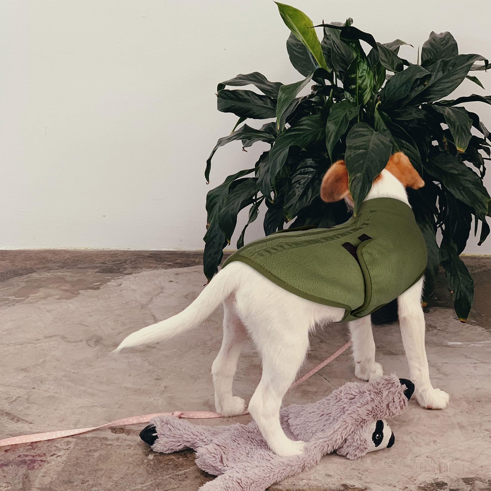 Dog wearing the Queenmore fleece sweater.