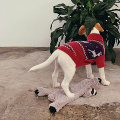Queenmore dog sweater shown being worn by a small dog.