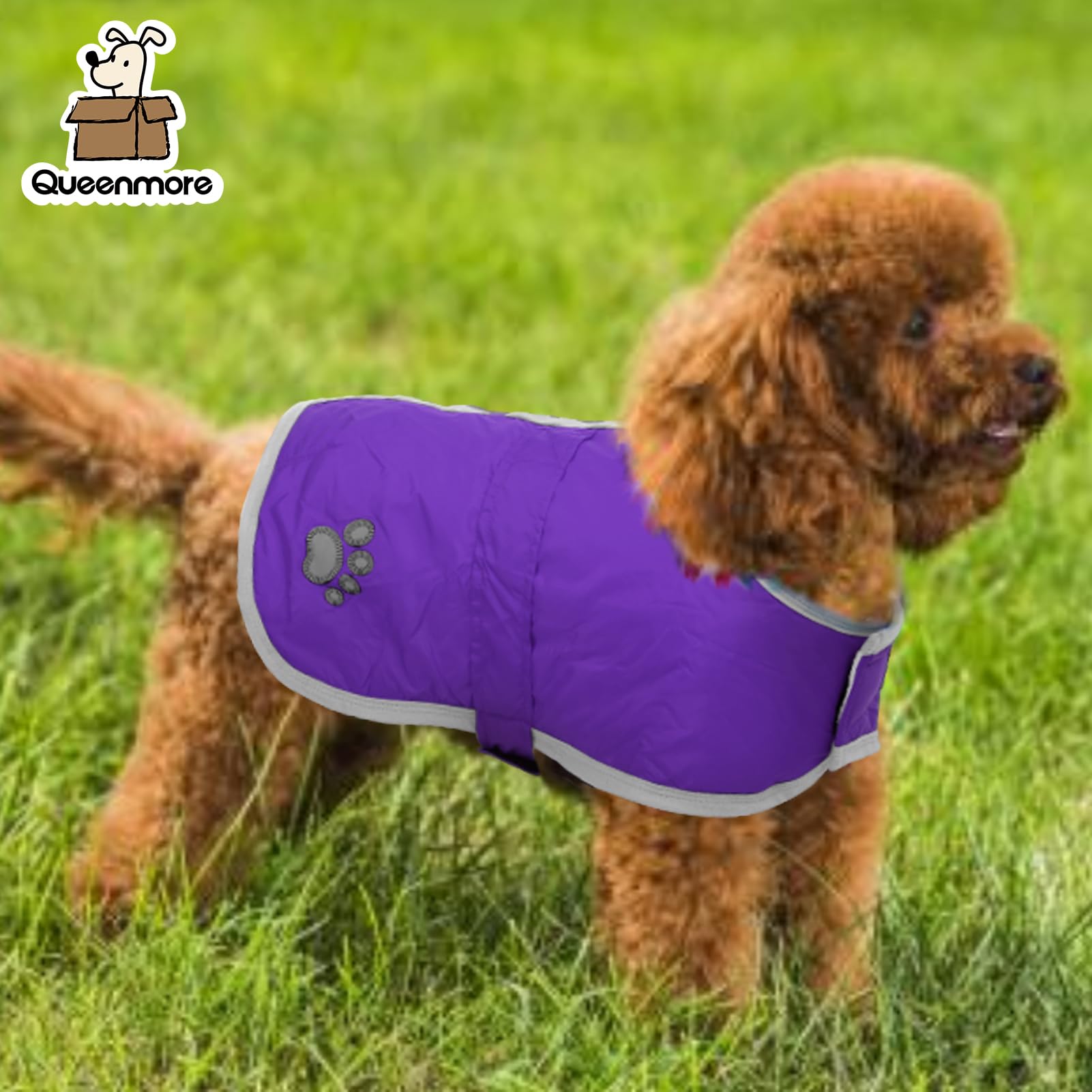Queenmore Dog Winter Coat showing the comfortable belly area.