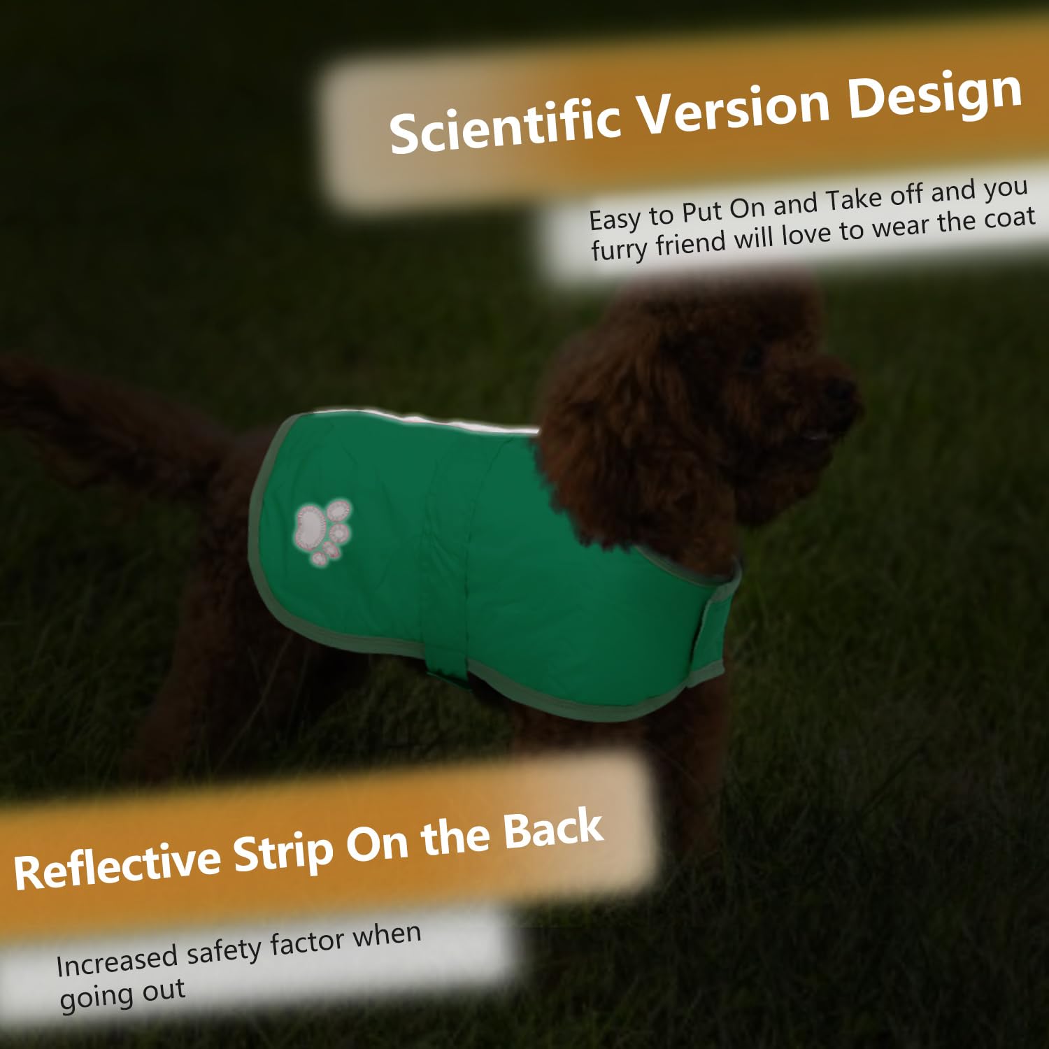 A dog wearing the Queenmore winter coat outdoors.