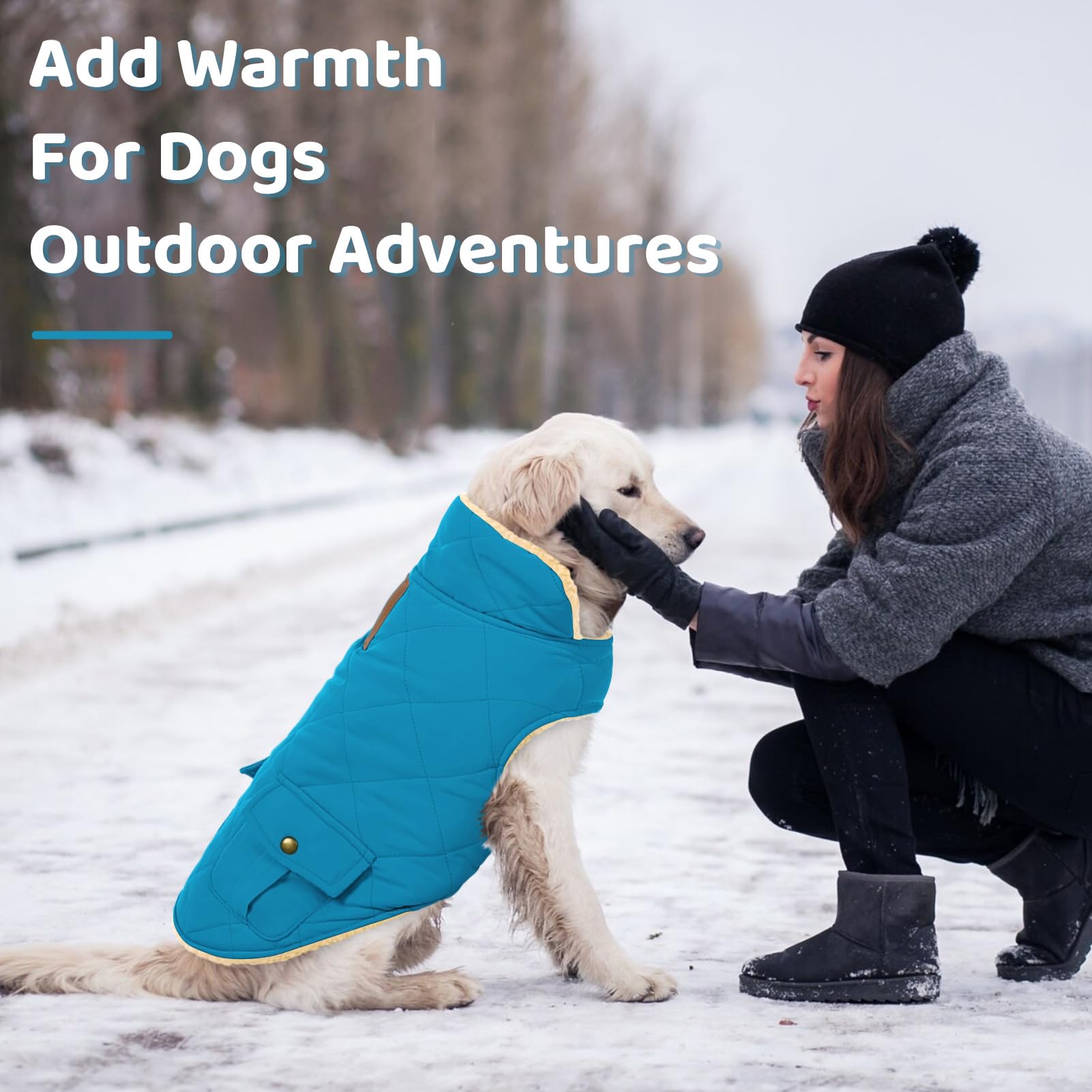 Queenmore dog winter coat showing the plush lining beneath its folded collar.