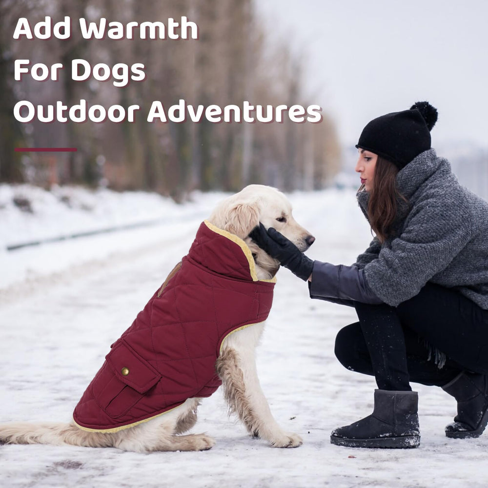Queenmore dog winter coat with the collar folded down to show the beige lining.