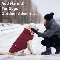 Queenmore dog winter coat with the collar folded down to show the beige lining.