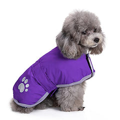 Queenmore Dog Winter Coat shown from the front.
