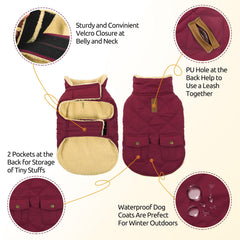 Queenmore dog winter coat with the brown PU leash opening visible.