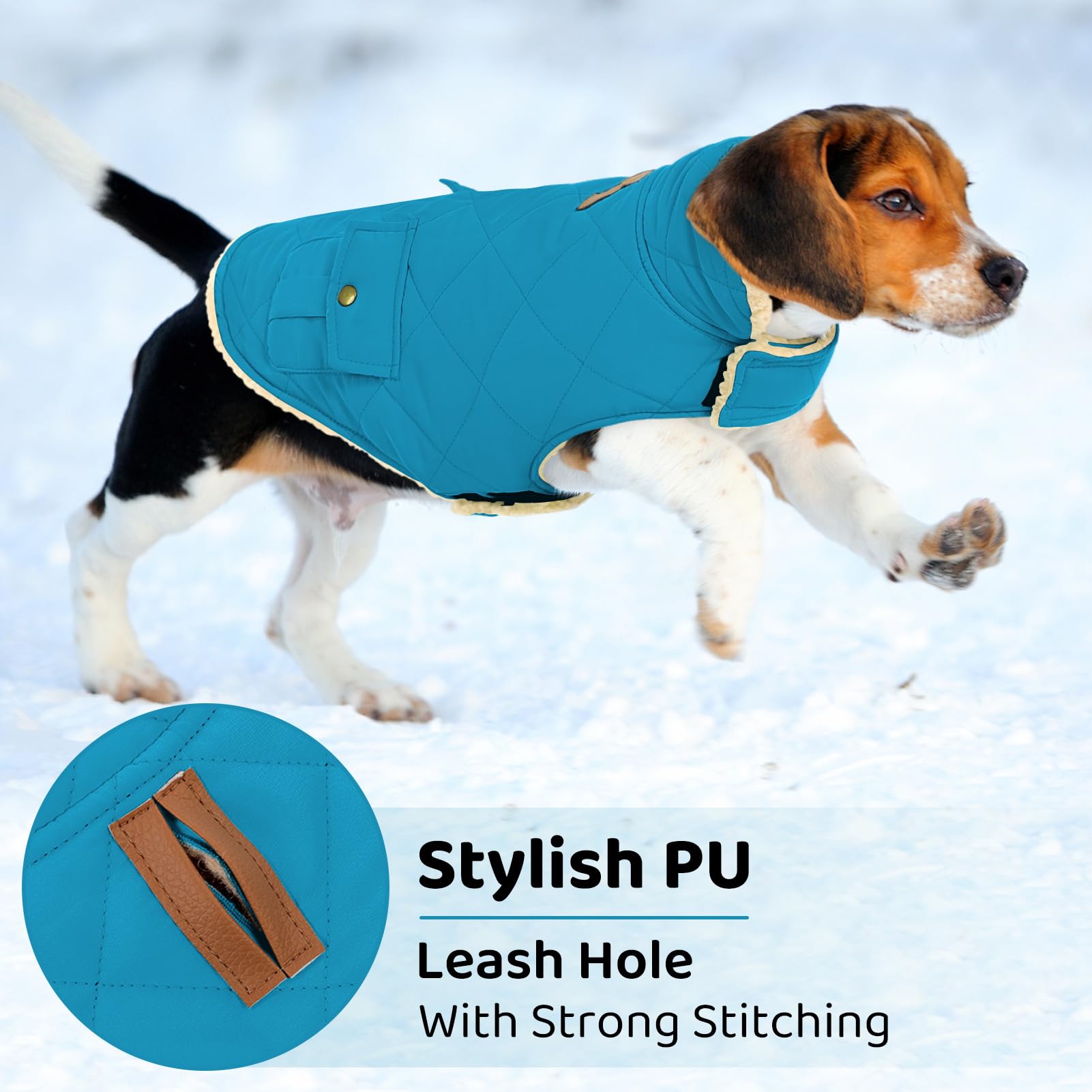 Queenmore dog winter coat shown with the collar raised.