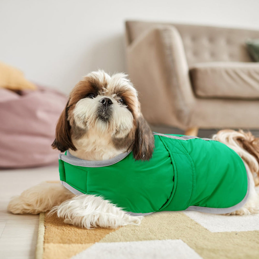 Queenmore dog winter coat with reflective detailing in close view.