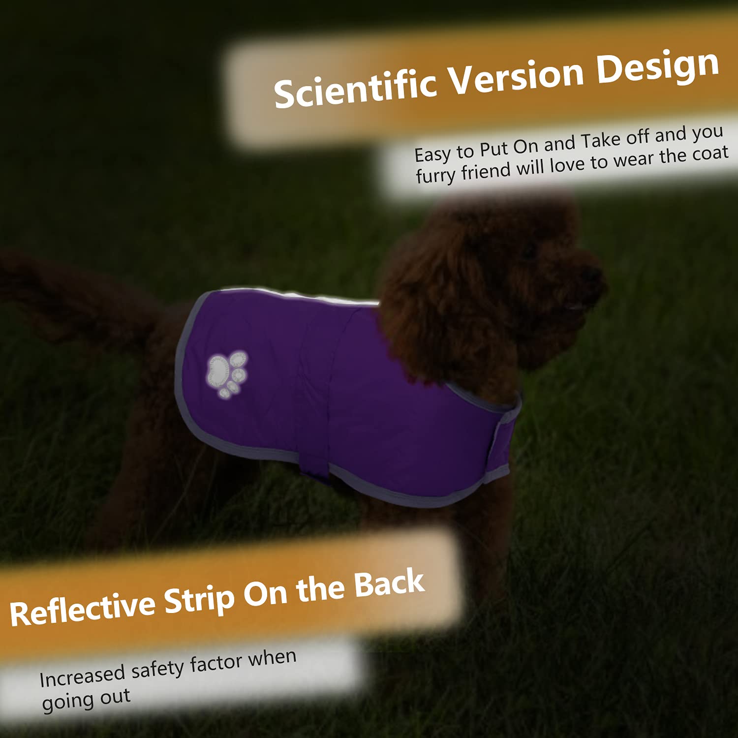 Queenmore Dog Winter Coat showing its reflective design.