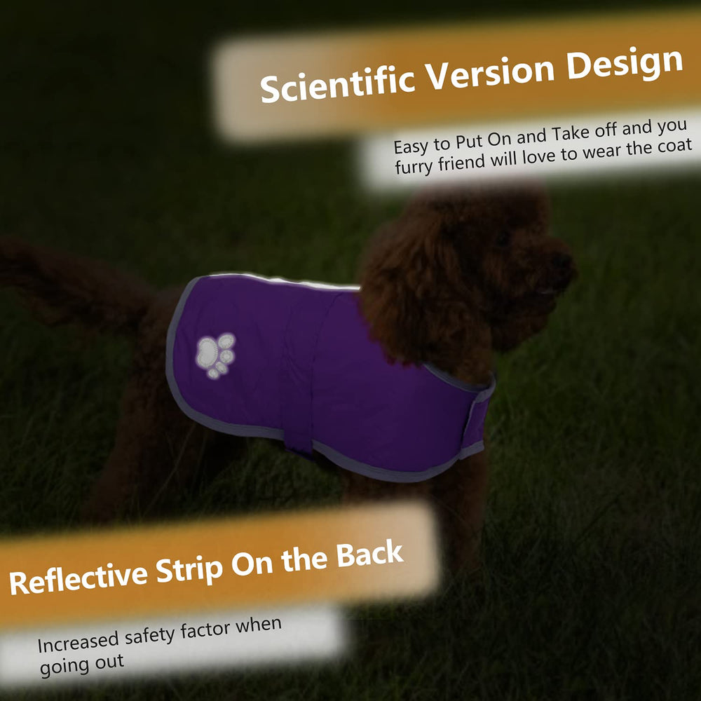 Queenmore Dog Winter Coat showing its reflective design.