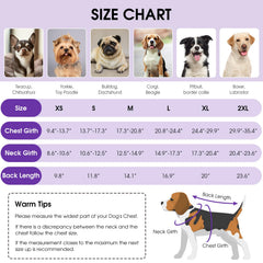 Queenmore Dog Winter Coat displayed with its reversible side visible.