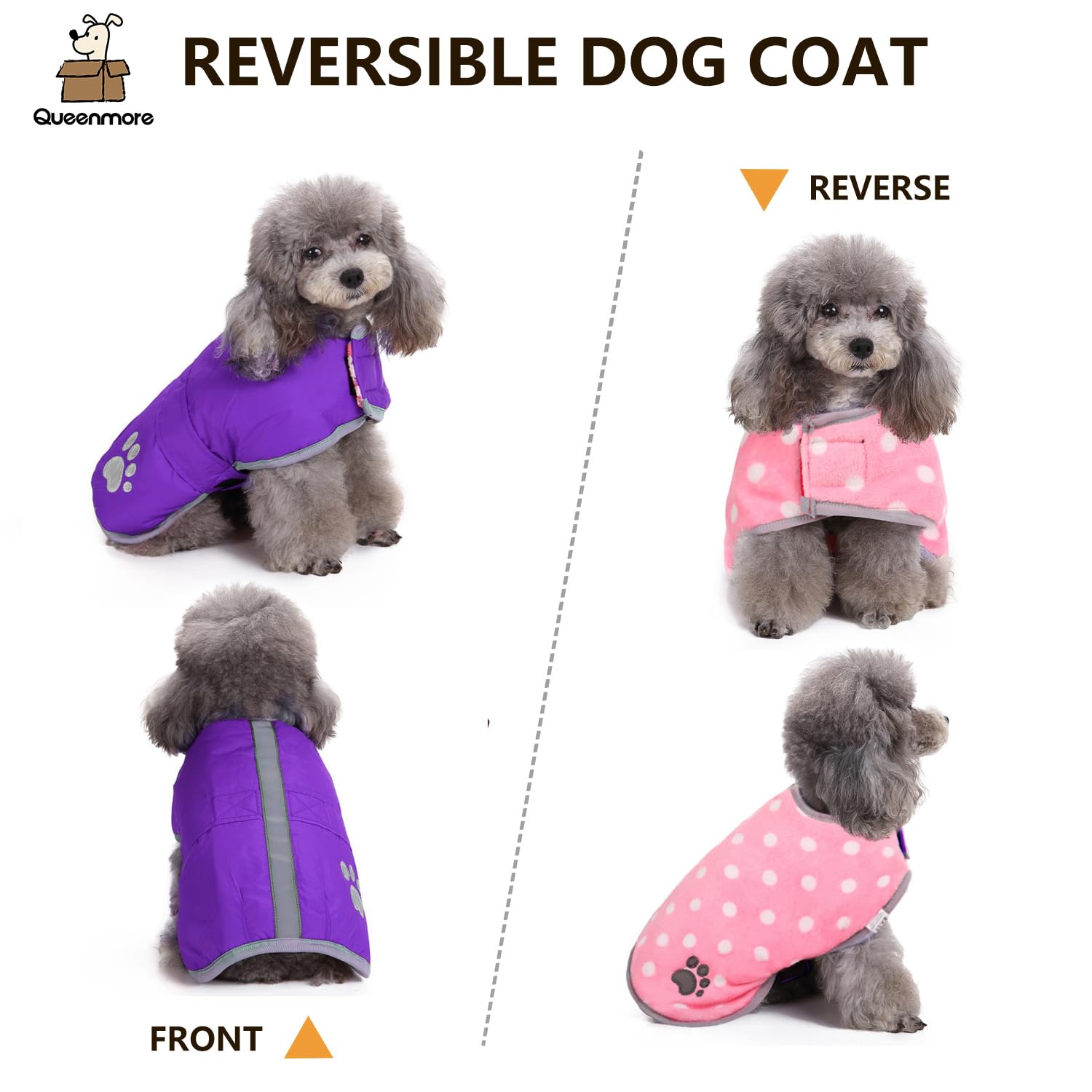 Queenmore Dog Winter Coat worn by a dog.