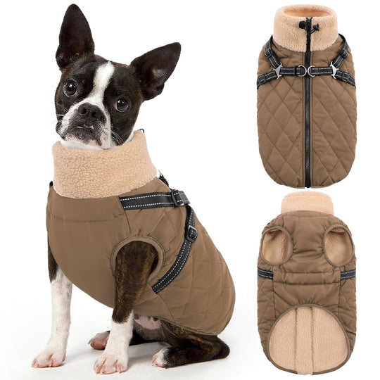Queenmore dog winter jacket shown from the front.
