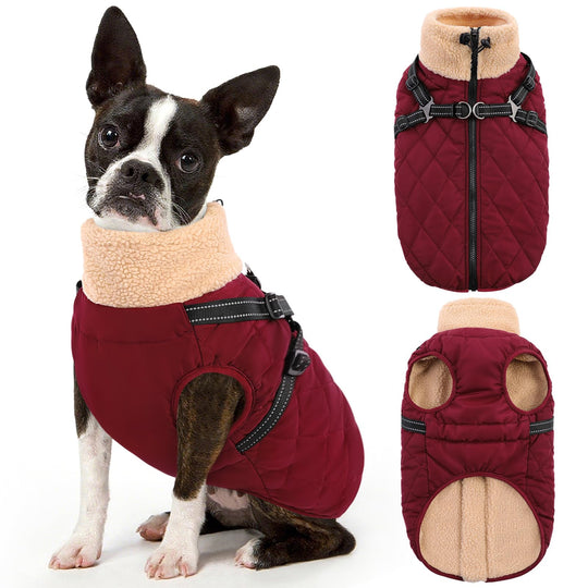 Queenmore dog winter jacket shown from the front.