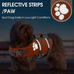 Queenmore medium dog life jacket with its adjustable straps visible.