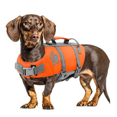 Queenmore medium dog life jacket shown from the front.