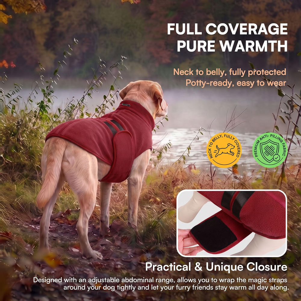 Queenmore pullover dog sweater shown from the back.