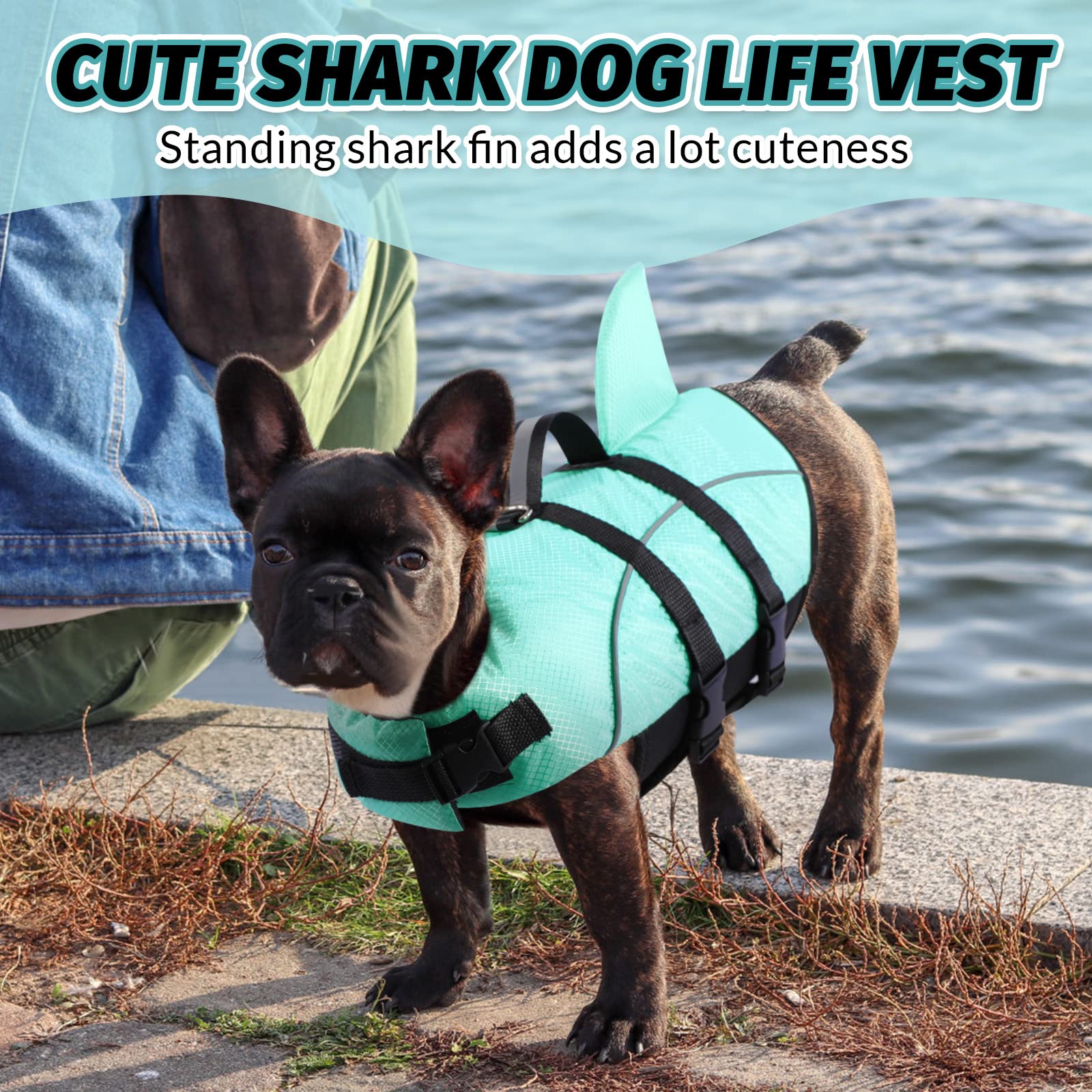 Queenmore shark dog life jacket showing the handle and reflective strap.