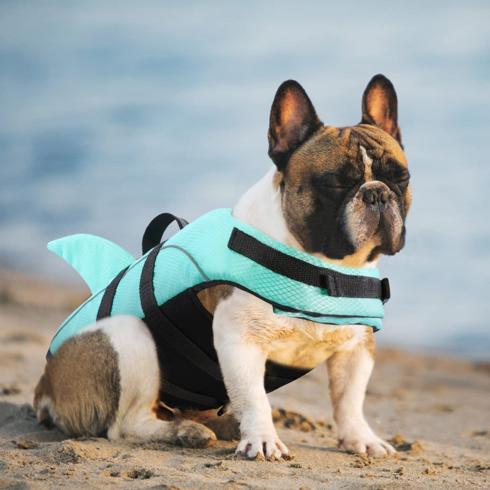 Queenmore shark dog life jacket with the leash hook in close view.