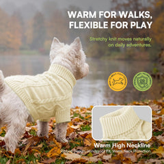 Queenmore small dog sweater shown with coverage around the chest and belly.