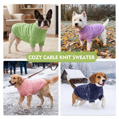 Queenmore small dog sweater shown being worn by a small pet.