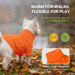 Queenmore XL dog sweater shown with coverage over the dog's chest and belly.