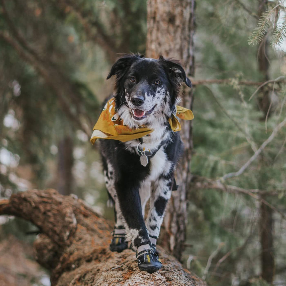 QUMY dog boots shown from the side to display their sewn fabric construction.