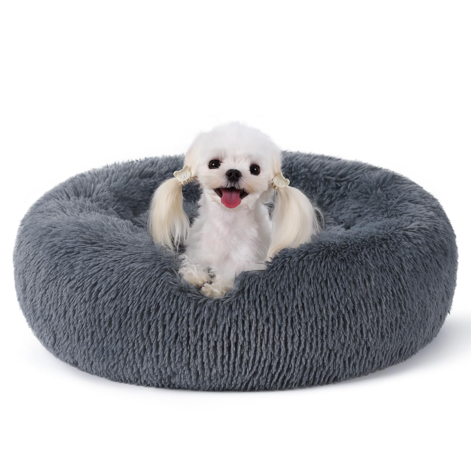 rabbitgoo Calming Cat Bed shown from the front in dark grey.