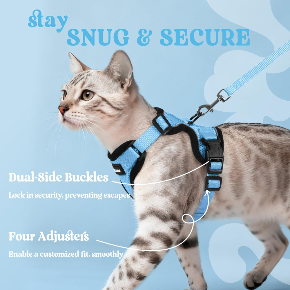rabbitgoo Cat Harness shown with its four adjustable straps.