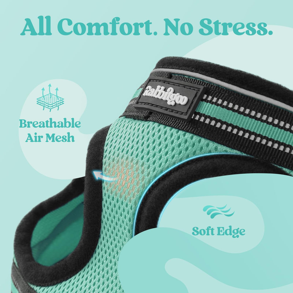 Adjustable straps on the rabbitgoo cat harness.