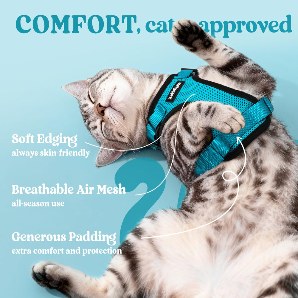 rabbitgoo cat harness detail showing its adjustable straps.