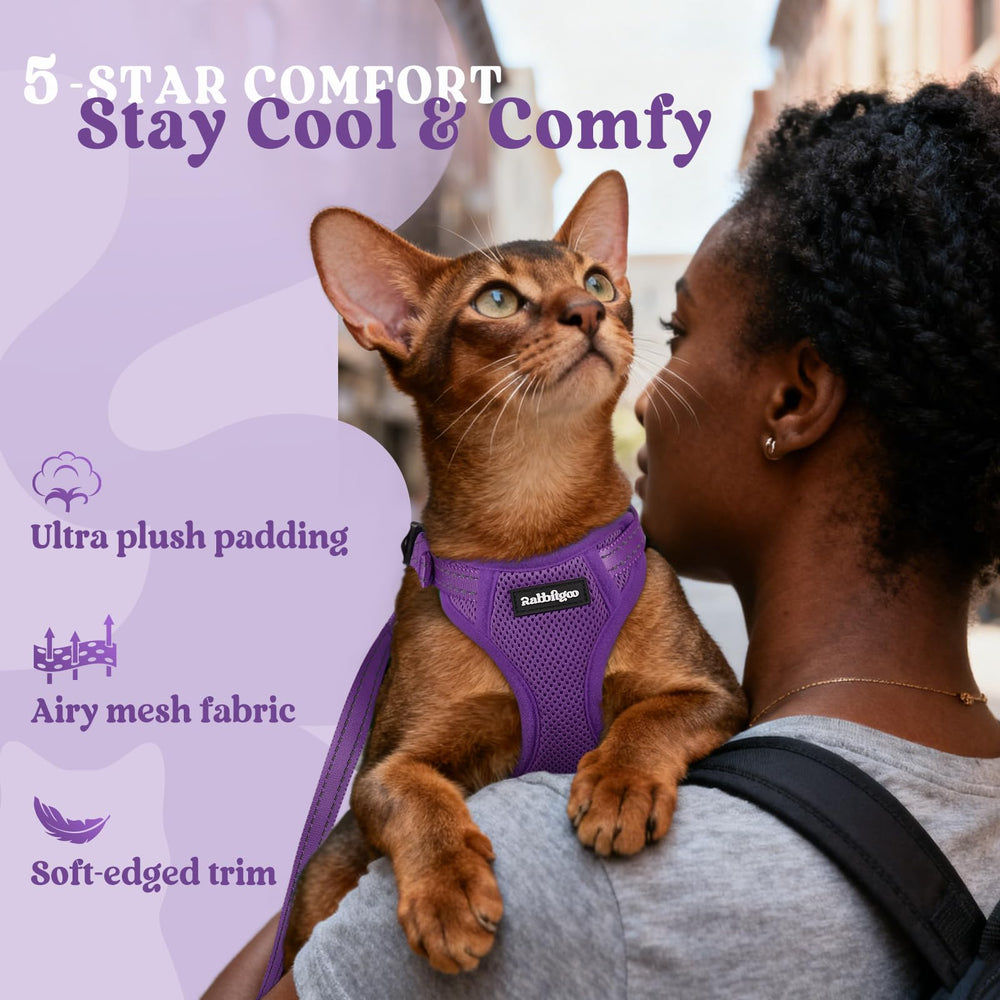 rabbitgoo Cat Harness and Leash showing its adjustable neck and chest straps.