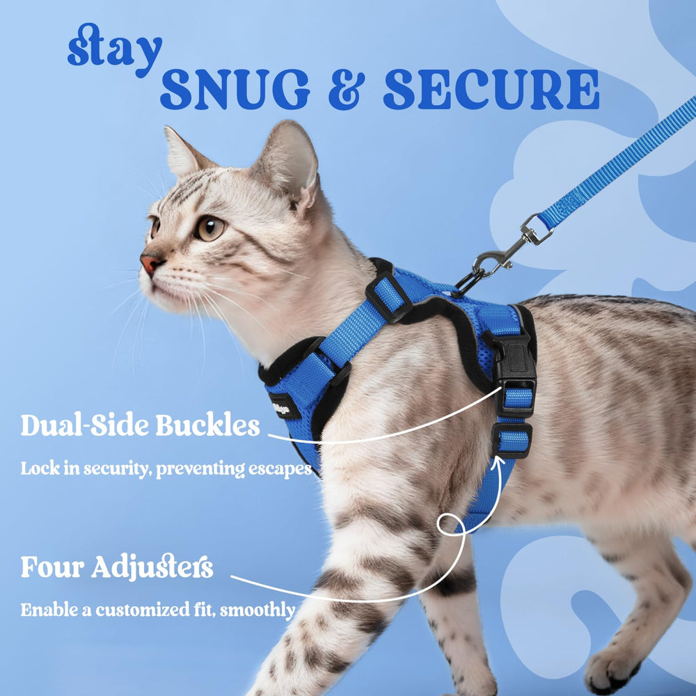 rabbitgoo Cat Harness four adjustable straps shown for fitting.