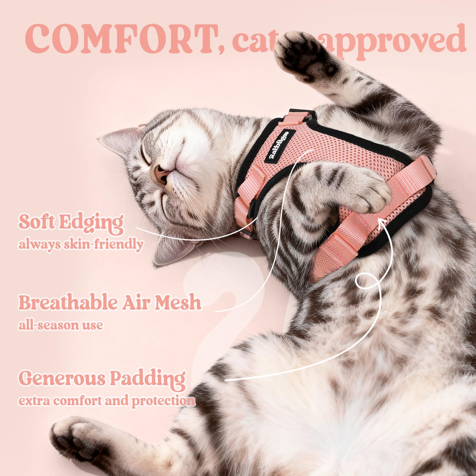 rabbitgoo Cat Harness showing its adjustable four-strap design.