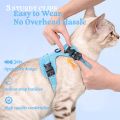 rabbitgoo Cat Harness adjustable neck and chest straps shown.