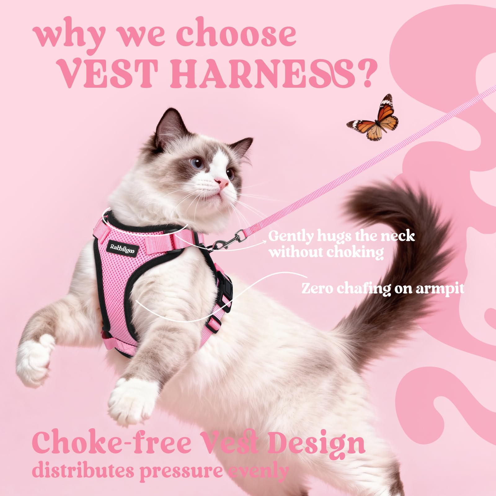 rabbitgoo cat harness detail showing the adjustable straps.