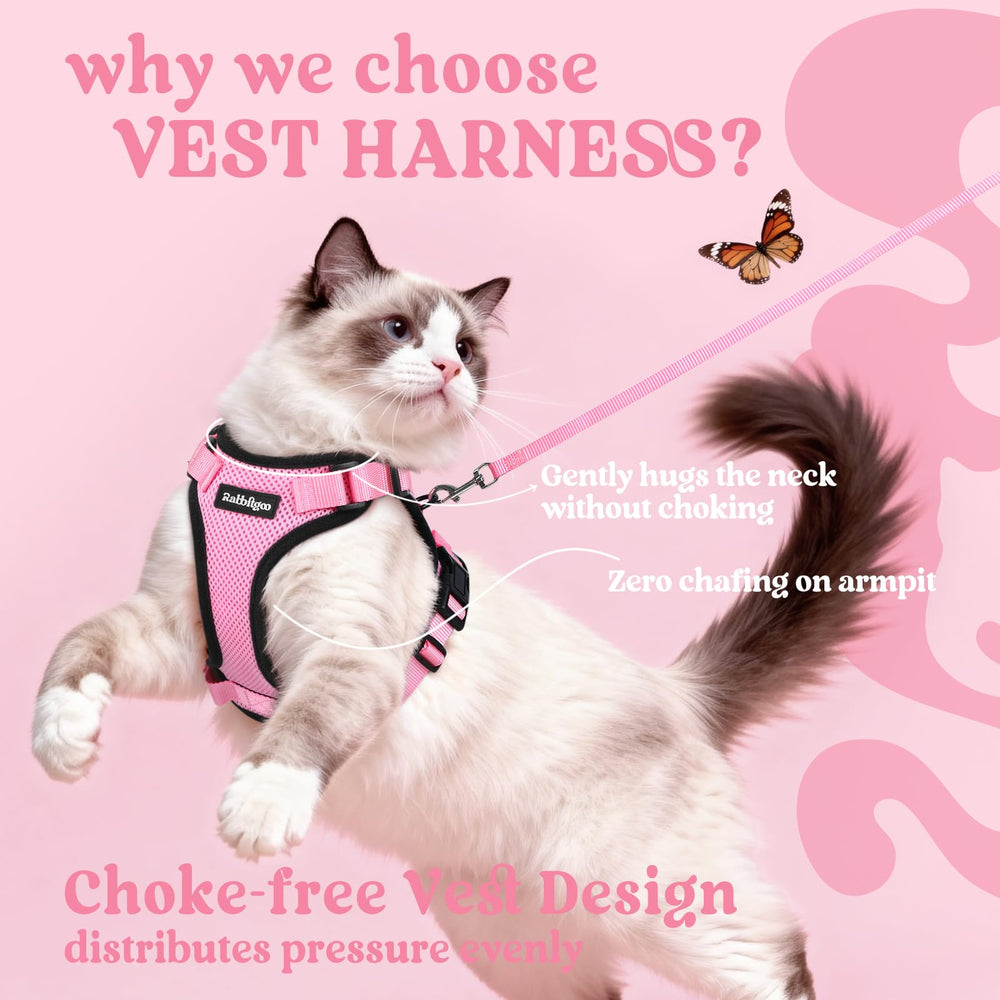 rabbitgoo cat harness detail showing the adjustable straps.