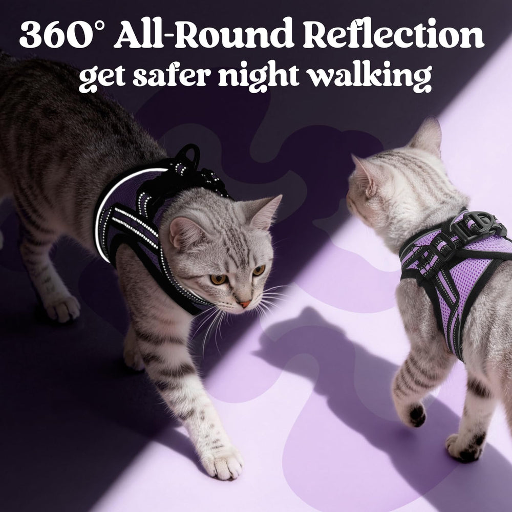 rabbitgoo Cat Harness with its adjustable straps visible.