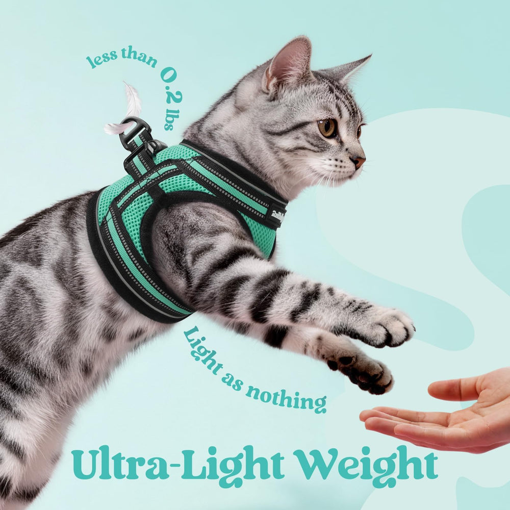 rabbitgoo Cat Harness and Leash Set showing its four adjustable straps.