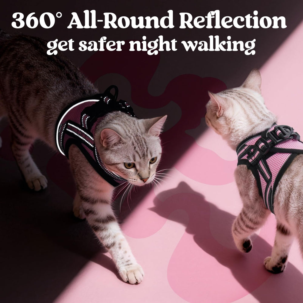 rabbitgoo cat harness detail showing the adjustable straps.