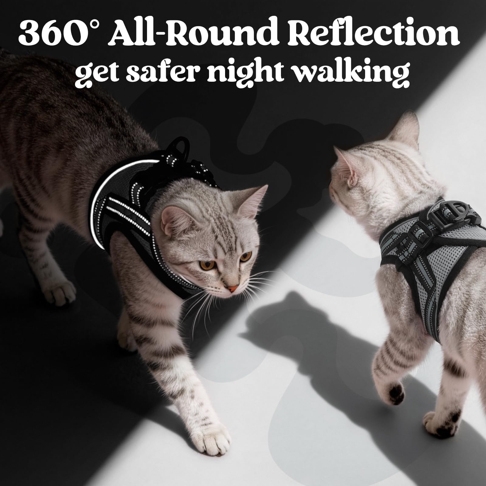 rabbitgoo Cat Harness and Leash Set showing its four adjustable straps.