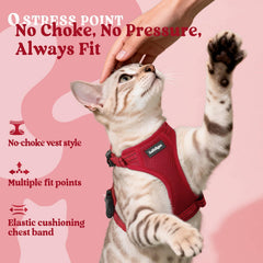 rabbitgoo cat harness and leash shown together as a set.