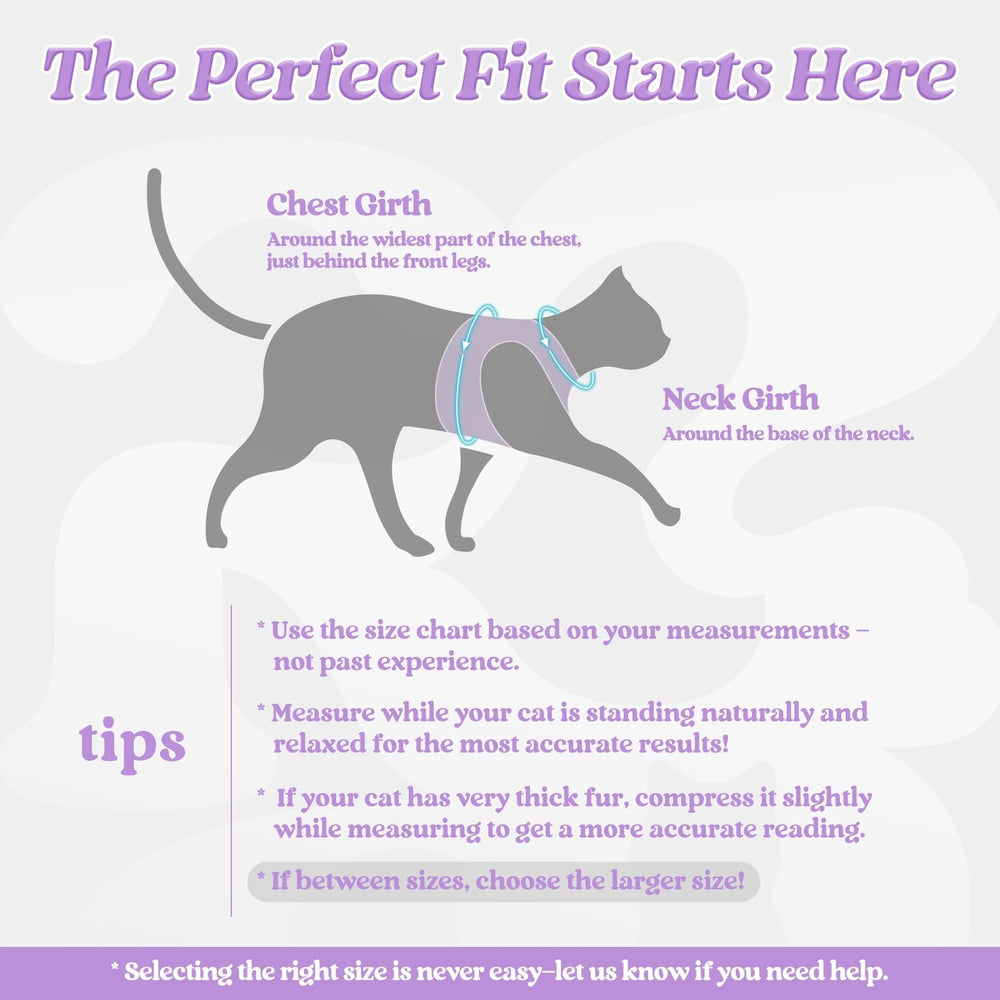 rabbitgoo cat harness showing the back clip and metal D-ring.
