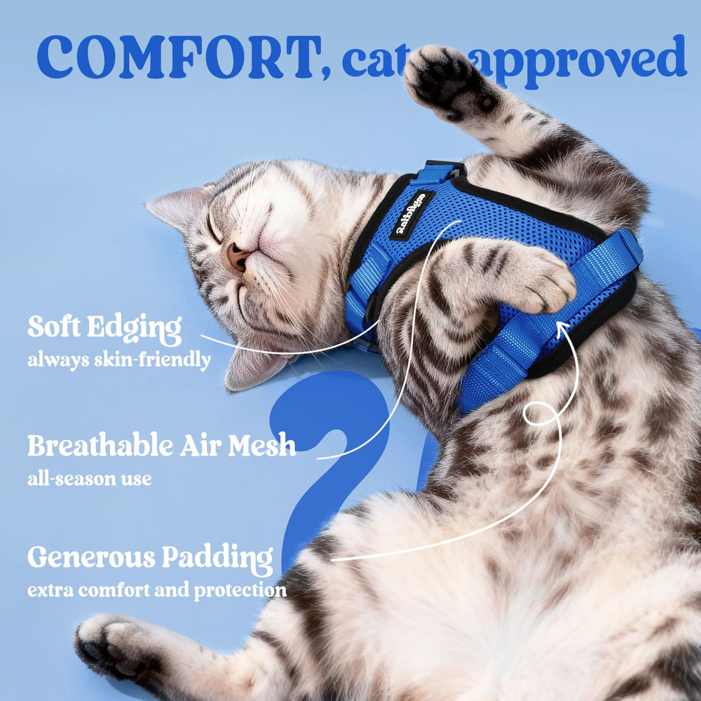 rabbitgoo Cat Harness reinforced back D-ring shown in detail.