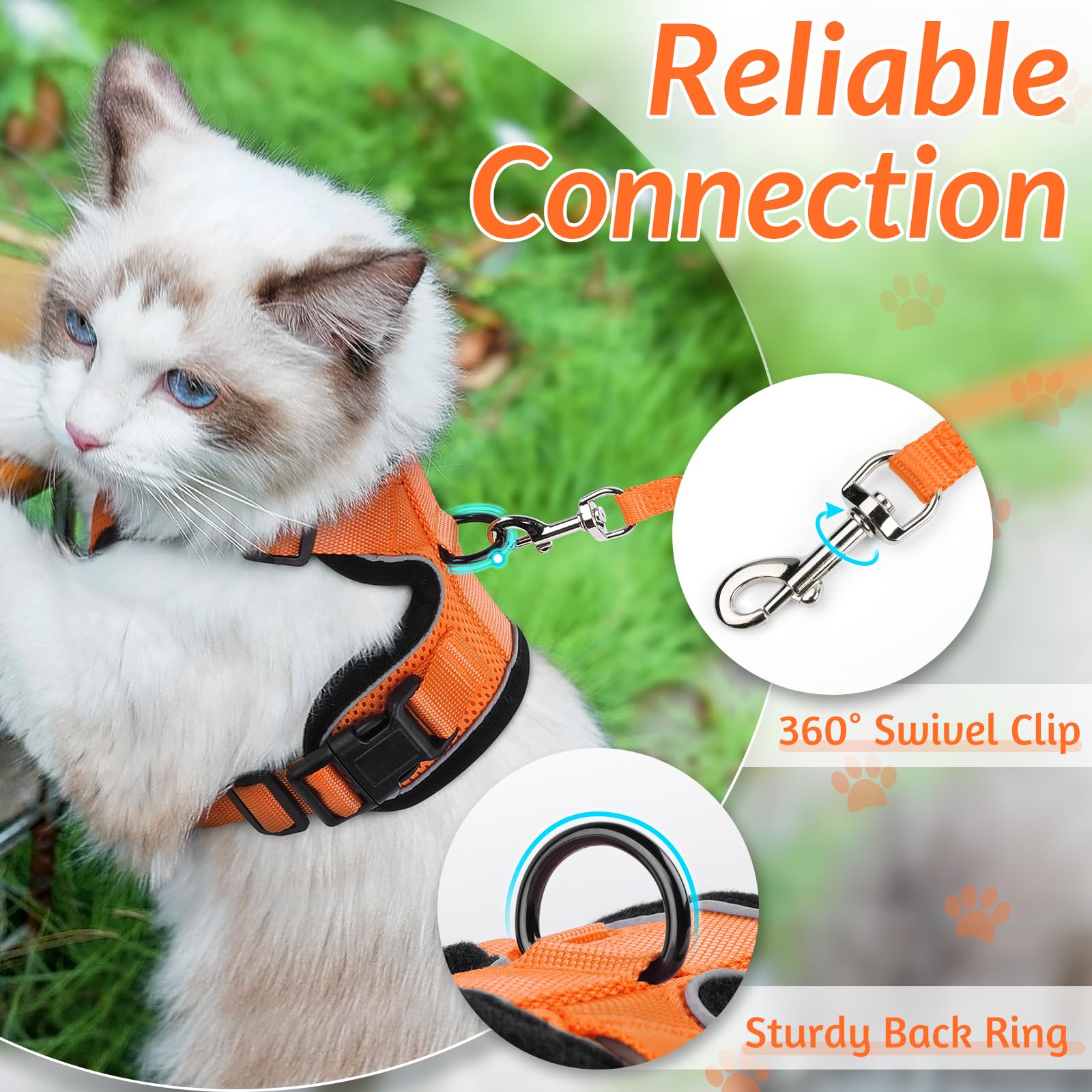 rabbitgoo Cat Harness and Leash Set showing the reinforced back D-ring.