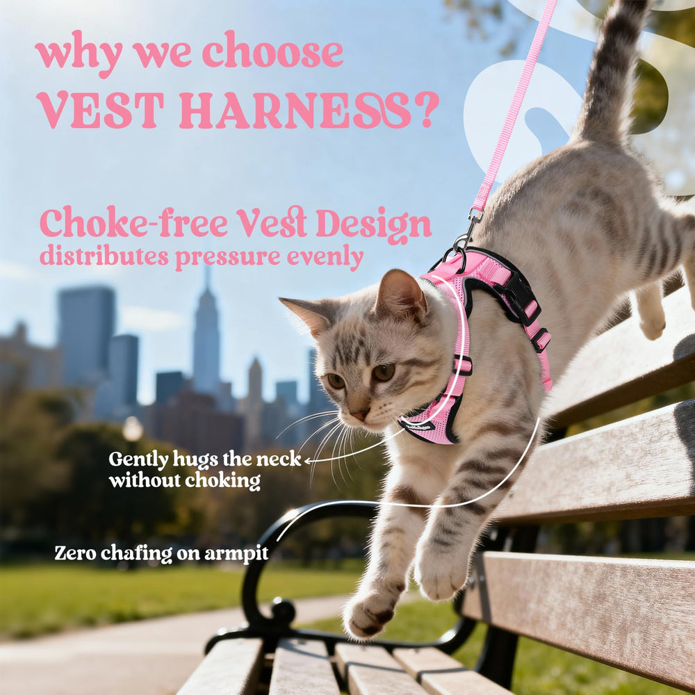 Back view of the rabbitgoo cat harness showing its reinforced D-ring.